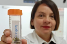 Las mujeres están tomando el espacio que les corresponde y recibiendo el crédito que merecen: Dra. Anareli Quintero