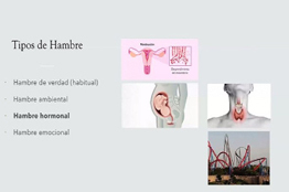 Obesidad, problema de salud que merece toda atención