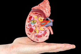 Detectar daño renal es sencillo, pero se acude tarde a consulta