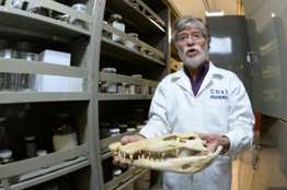 Unirán vastas colecciones de vertebrados en el pabellón nacional de la biodiversidad