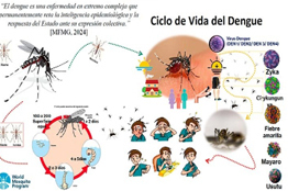 Investigador llama a redoblar esfuerzos en prevención contra el dengue