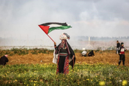 Imágenes “barbáricas” tienen lugar en la Franja de Gaza