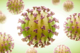 Covid-19, un desafío que debemos enfrentar juntos