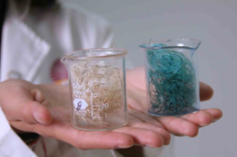 Impulsa UAG limpieza de agua residual