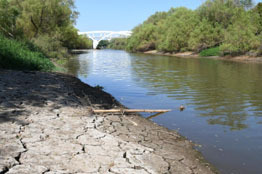 Tal es la crisis hídrica en el mundo, que solo el uno por ciento del agua dulce está accesible para consumo humano, señala especialista