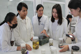 Estudiantes del Bachillerato Garza participan en Jornadas de Inmersión Científica 