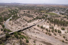 Urgente que autoridades y la comunidad científica hagan un inventario de los daños que ha dejado la sequía en las especies que habitan las cuencas