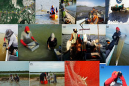 Océanos, generadores naturales de energías renovables