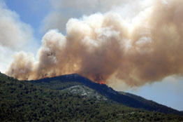 Manejo integrado del fuego, estrategia exitosa para controlar incendios forestales