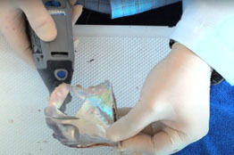 Importancia cultural, social y económica de concha nácar y madre perla en la ciudad de la Paz BCS