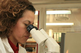 Instauran Jurado del 33º Concurso Anual al Premio a la Investigación 2024