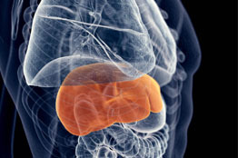 La hepatitis se puede convertir en cáncer hepático, si no se cuida