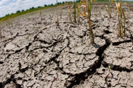 La deforestación de espacios y la desubicación de los temporales de lluvia están acelerando los procesos de desertificación, advierte especialista