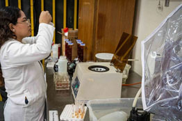 Programa Delfín en la UV: oportunidad para iniciarse en investigación