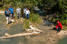 Reconoce FLAAR Mesoamérica aporte de la UJAT en el  estudio de los manglares del Río San Pedro Mártir