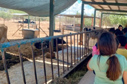 UABCS lleva a cabo visita para niños y niñas en su Posta Zootécnica  