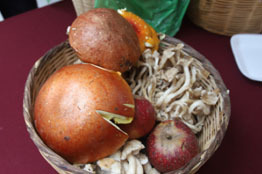 Gastronomía y cultura en Noveno Festival Universitario del Hongo y la Manzana 