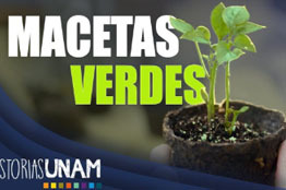 Elaboran macetas compostables y acuarelas con materiales sustentables y de reciclaje  