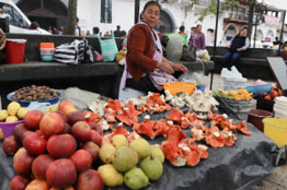 Se realizó exitosamente el Festival Universitario del Hongo y la Manzana en Acaxochitlán