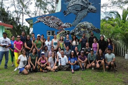 Especialistas de la UABCS imparten taller de primeros auxilios para tortugas marinas en Veracruz
