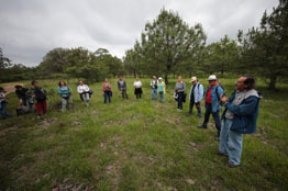 Baños de bosque ayudan a prevenir muertes por padecimientos cardiovasculares