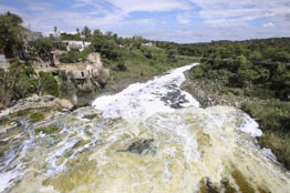 Invitan a especialistas a analizar el problema del agua en Jalisco