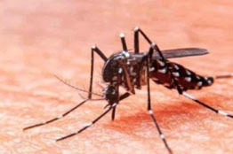 Presencia de dengue en entidades mexicanas donde no había  