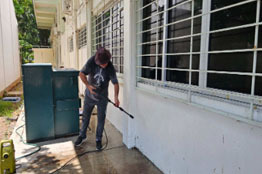 En busca de transmitir tranquilidad a sus estudiantes, la Facultad de Biología de la UAS realiza Jornada de Limpieza previo al inicio de clases