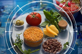 Zero Food Waste, la novedosa iniciativa de la Universidad Iberoamericana, ganadora del Premio ANUIES 2024.