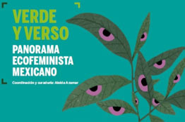 Ecofeminismo mexicano: movimiento que reivindica el papel de la mujer de zonas rurales y la periferia
