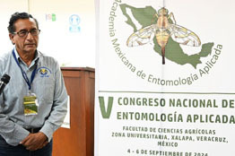 Cambio climático afectó producción de naranja en Veracruz: experto de Chapingo