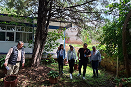 Universidad y Secretaría de Salud de Guanajuato suman acciones para evitar contagios de dengue