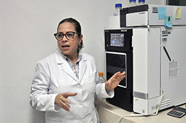 Colima desarrolla bebida a partir de la savia de palma con más beneficios a la salud