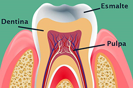 Anatomía Bucal, asignatura importante en la carrera de Odontología en la Universidad Autónoma de Sinaloa