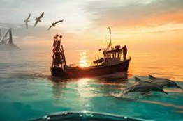 Científicos y científicas marinas replantean el concepto de «sostenibilidad» en la pesca 