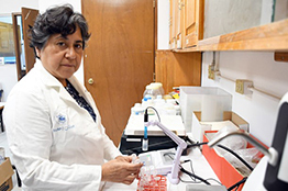 Investigadores detectan metales pesados en polvo de las calles de la ciudad de Puebla