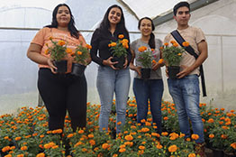 Estudiantes de Agropecuarias de Morelos inician emprendimiento con flor de cempasúchil