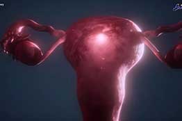 Después de la menopausia se eleva el riesgo cardiovascular: UNAM