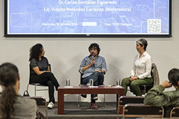 Verificación vehicular: no negociable y obligatoria