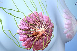 Identifican biomarcadores para detección temprana del cáncer de mama: UNAM