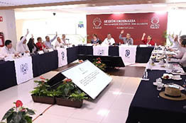 La Dra. Natalia Fiorentini Cañedo, nueva presidenta del Consejo Regional Sur-Sureste de la ANUIES