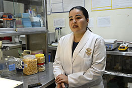 Estudian maíz para utilizarlo contra enfermedades como el estrés y la diabetes: Autónoma de Sinaloa