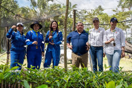 Reinicia UJAT, SLB y Repsol siembra de más de 32 mil plántulas de Mangle Rojo en la Reserva de la Biósfera Wanha 