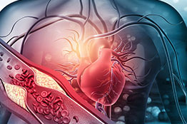 Continúan enfermedades cardíacas en México