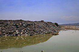 Hacia una ecohidrología urbana, experiencias de restauración en México  