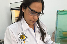 Desarrolla UAQ proyecto innovador para degradar plásticos con insectos