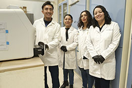 Plantas medicinales en México, aliadas naturales contra la obesidad y el síndrome metabólico