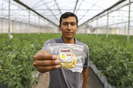 Desarrolla investigador UAQ sistema para reducir desperdicio agrícola