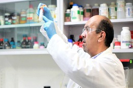 Desarrollan científicos del IPN un bioinsecticida para detener incremento de dengue por lluvias