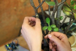 Mediante neurociencias computacionales buscan aportar al estudio del funcionamiento del cerebro